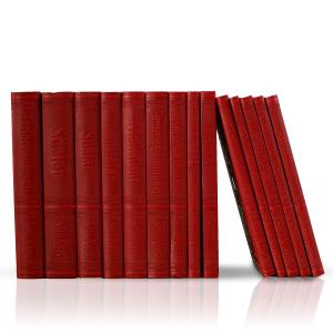 Risale-i Nur Külliyatı (Büyük Boy Termo Deri)